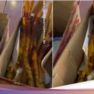 Beli Kentang Goreng Rp 138 Ribu, Pembeli Ini Kesal Gegara Zonk!