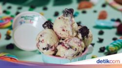 Cicipi Gelato Unik Di 20 Varian Rasa Di Malang