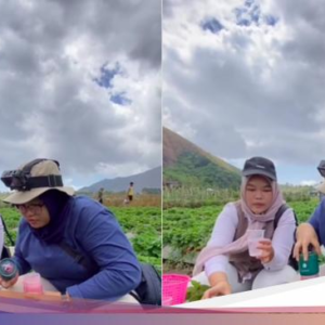 Ngakak! Wanita Ini Bawa Blender Untuk Bikin Jus Di Wisata Petik Stroberi