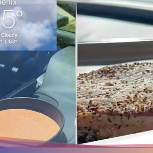 Kampiun! Pria ini Masak Burger, Steak, dan Kue Ke Di Kendaraan Pribadi Bersuhu 95 Derajat Celsius