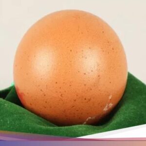 Wow! Sebutir Telur Bulat Sempurna Ini Terjual Rp 4,1 Juta