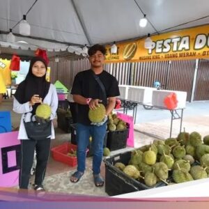 Gokil! Petani Durian Gen Z Raup Untung Hingga Rp 19,2 M