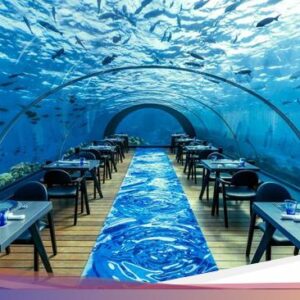 Makan Di Bawah Laut? 10 Restoran Ini Tawarkan Pemandangan Mempesona