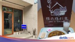 Hangout Seru! 5 Kafe Terbaru Ke Jakarta Bersama Suasana Cozy dan Menu Enak