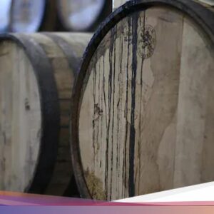 Wow! Arkeolog Temukan Pabrik Wine Romawi Berusia 1.600 Tahun