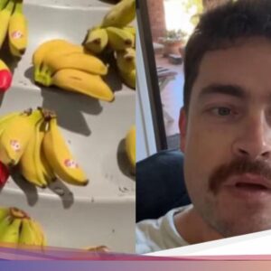 Misteri Pisang Ujung Merah Hingga Australia, Ternyata Bukan Buah Sembarangan