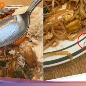 Apes! Lagi Makan Di Restoran Thailand, Nemu Lalat dan Rambut Di Hidangan