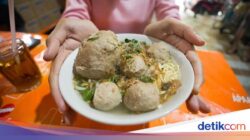 Wajib Coba! 7 Bakso Paling Enak Hingga Bogor yang Populer Lezatnya