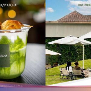 Ngopi Lewat Dulu! Ini 5 Kafe Matcha Ke Jogja yang Lagi Hits