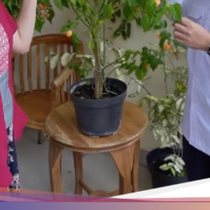 Keseruan Mgdalenaf Ajak Teman-teman Food Vlogger Cicip ‘Cabai Magda IPB’