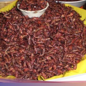 8 Konsumsi Tak Biasa Di Dunia, Ada Semut hingga Buaya Goreng Tepung