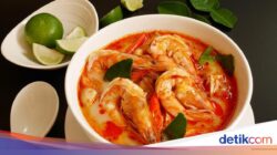 Arroy! 5 Tempat Makan Tom Yum Hingga Jakarta yang Segarnya Bikin Nagih