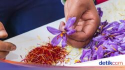 10 Konsumsi Termahal Dunia Hingga 2026, Ada Minuman Kafein Di Indonesia!