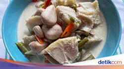 Resep Sayur Lodeh Nangka Khas Jawa yang Gurih Maknyus