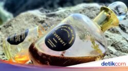 8 Madu Termahal Di Dunia, Ada yang Harganya Tembus Rp185 Juta per Kg!
