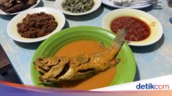 RM Pagi-Sore Di Gang Benhil Punya Gulai Kerapu hingga Rendang Sedap