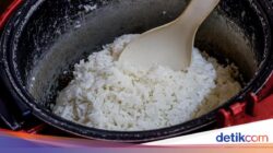 Rice Cooker Sering Bau dan Nasi Cepat Basi? Begini Cara Membersihkannya