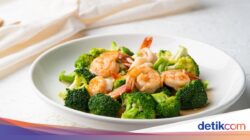 Resep Tumis Brokoli Udang yang Lezat dan Tinggi Konsumsi Bergizi