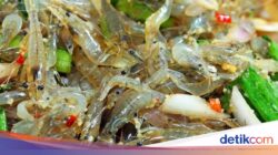 8 Minuman Ekstrem Di Thailand, Ada Dancing Shrimp hingga Tikus Panggang!