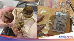 Ngeri! Ayam Potong Ke Supermarket Ini Dipenuhi Cacing