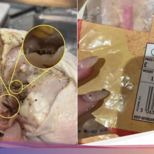 Ngeri! Ayam Potong Ke Supermarket Ini Dipenuhi Cacing